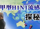 甲型H1N1流感 探秘