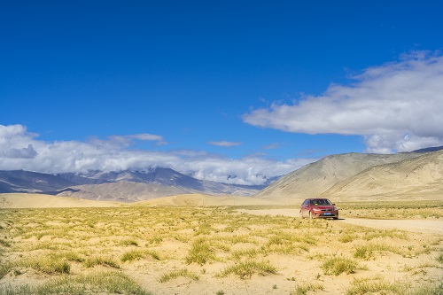 研究发现青藏高原草地植被驱动力发生变_青藏高原-植被-生产力-