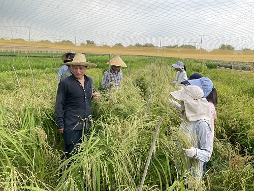 2021年9月，何祖华带领学生在松江农场观察水稻材料.jpg