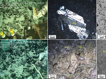 西南马里亚纳岛弧岩浆与构造演化历史