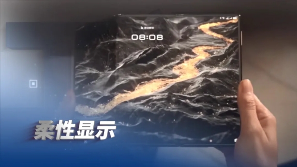 《Engineering》在京发布2024全球十大工程成就(图4)