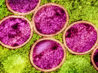 �ﶻ���ٴ���ȫ��������