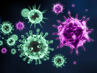 һ�������в���Ϊ��ȴû������