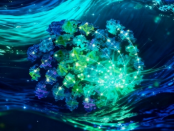 ��ѧ���ƽ������������������