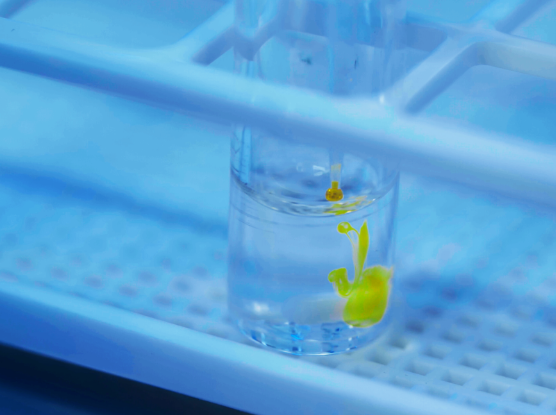 38����Ĵ𰸣�������һ������