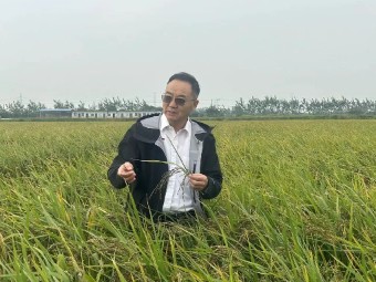 张启发院士：转变饮食习惯，促进“黑米主食化”