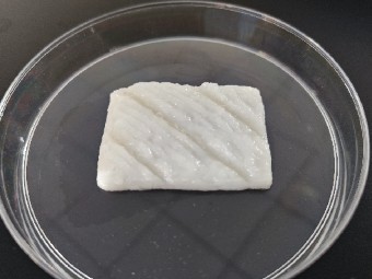 想吃鱼吗？未来也许可以3D打印
