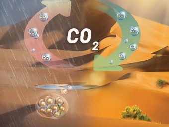 沙漠固碳总量评估有了新方法