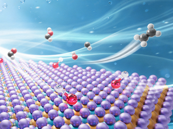 他们大胆假设，小心求证，实现变气成材